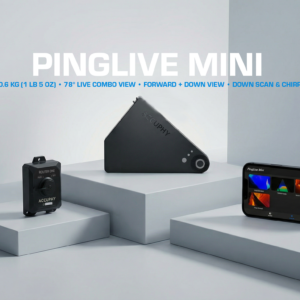 Accuphy PingLive Mini